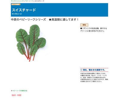 スイスチャードの画像