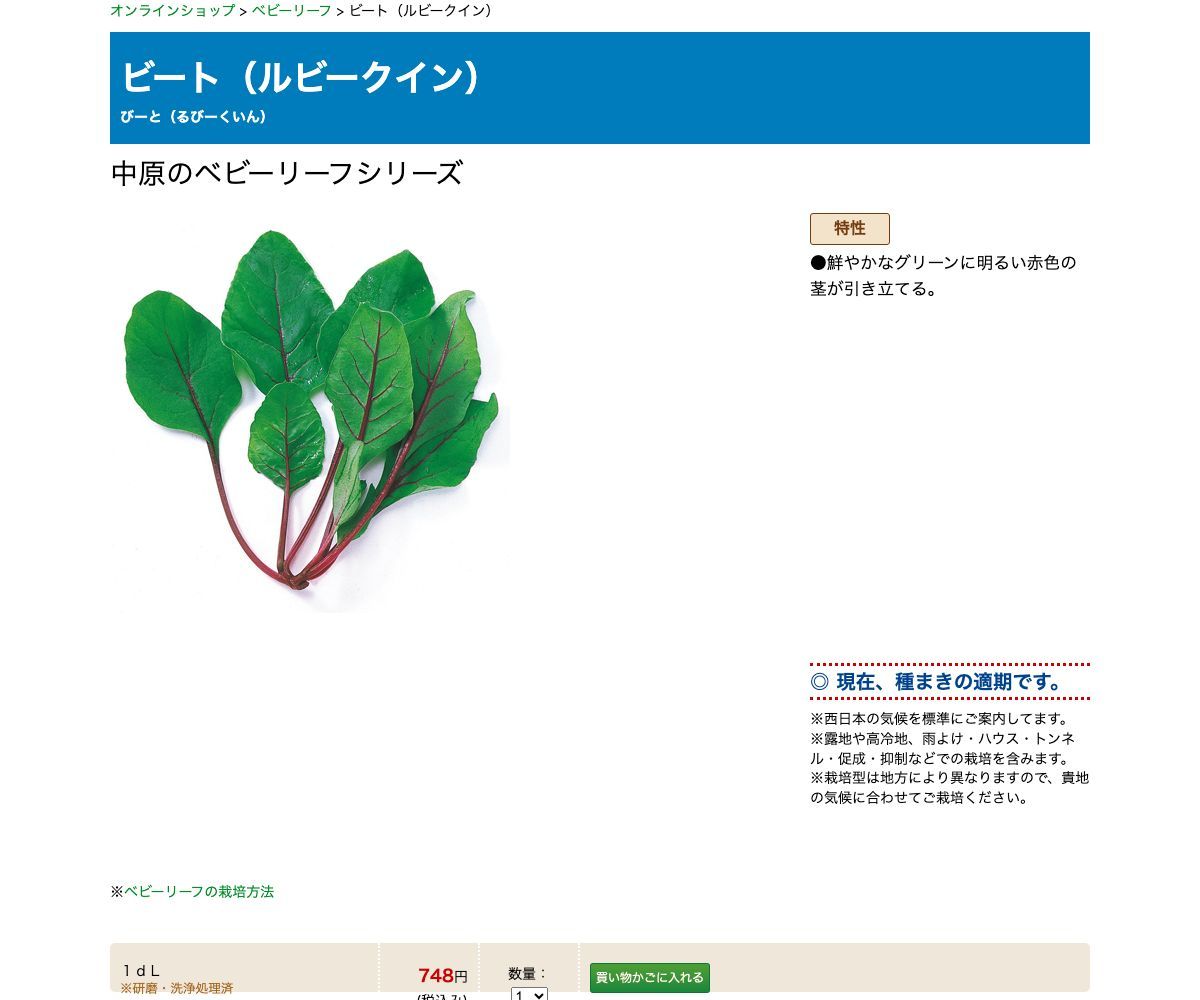 ビート（ルビークイン）