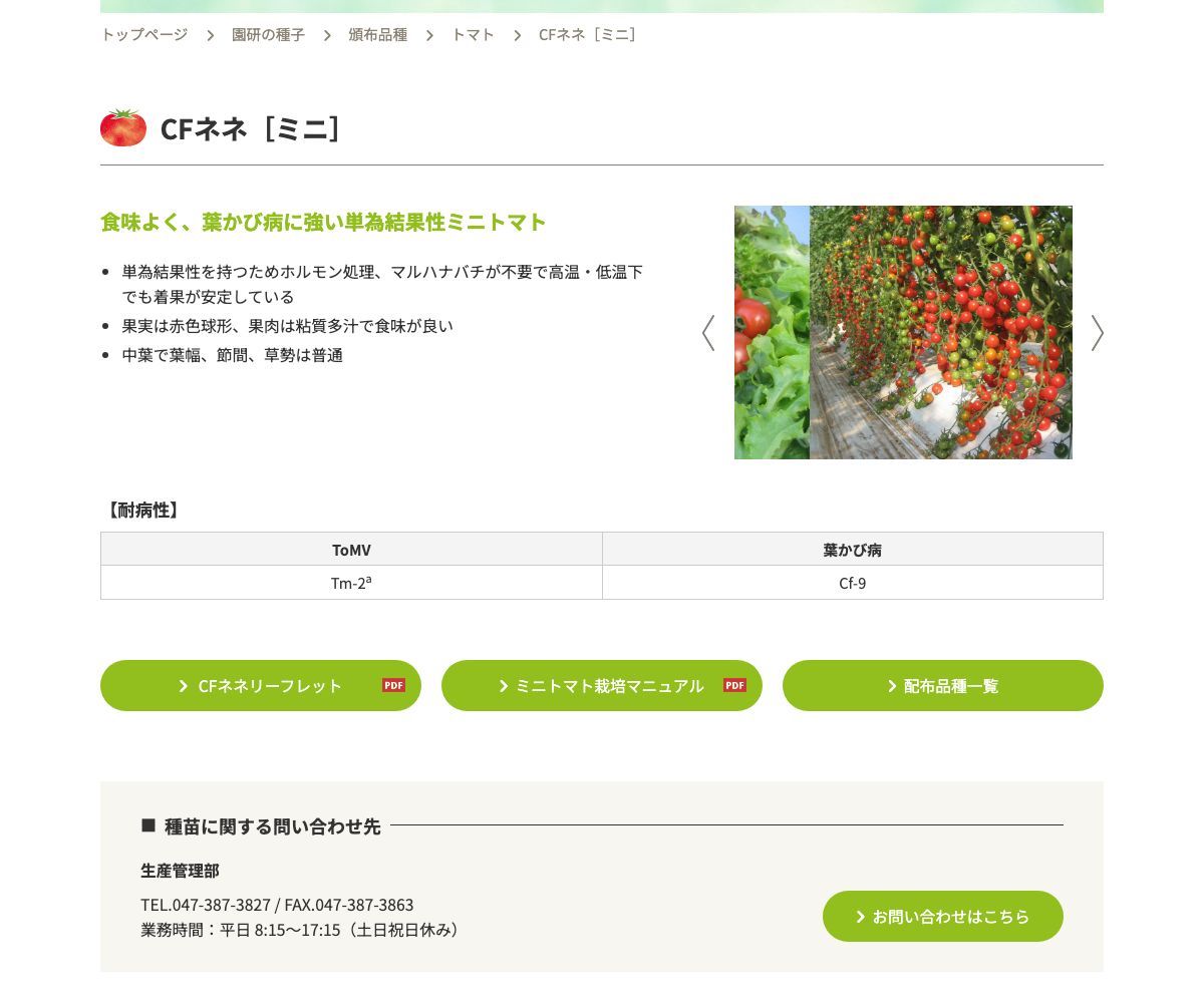 CFネネ