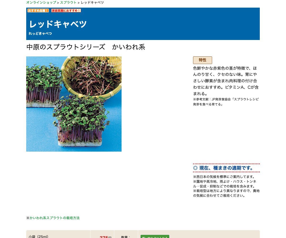 レッドキャベツ