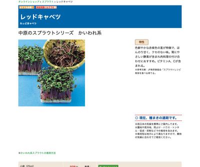 レッドキャベツの画像