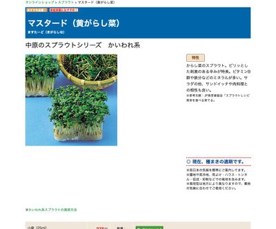 マスタード（黄がらし菜）の画像