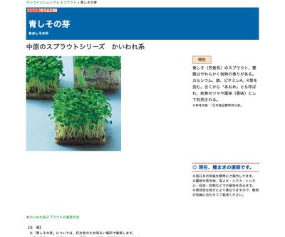 青しその芽の画像