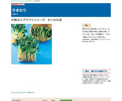 ひまわりの画像