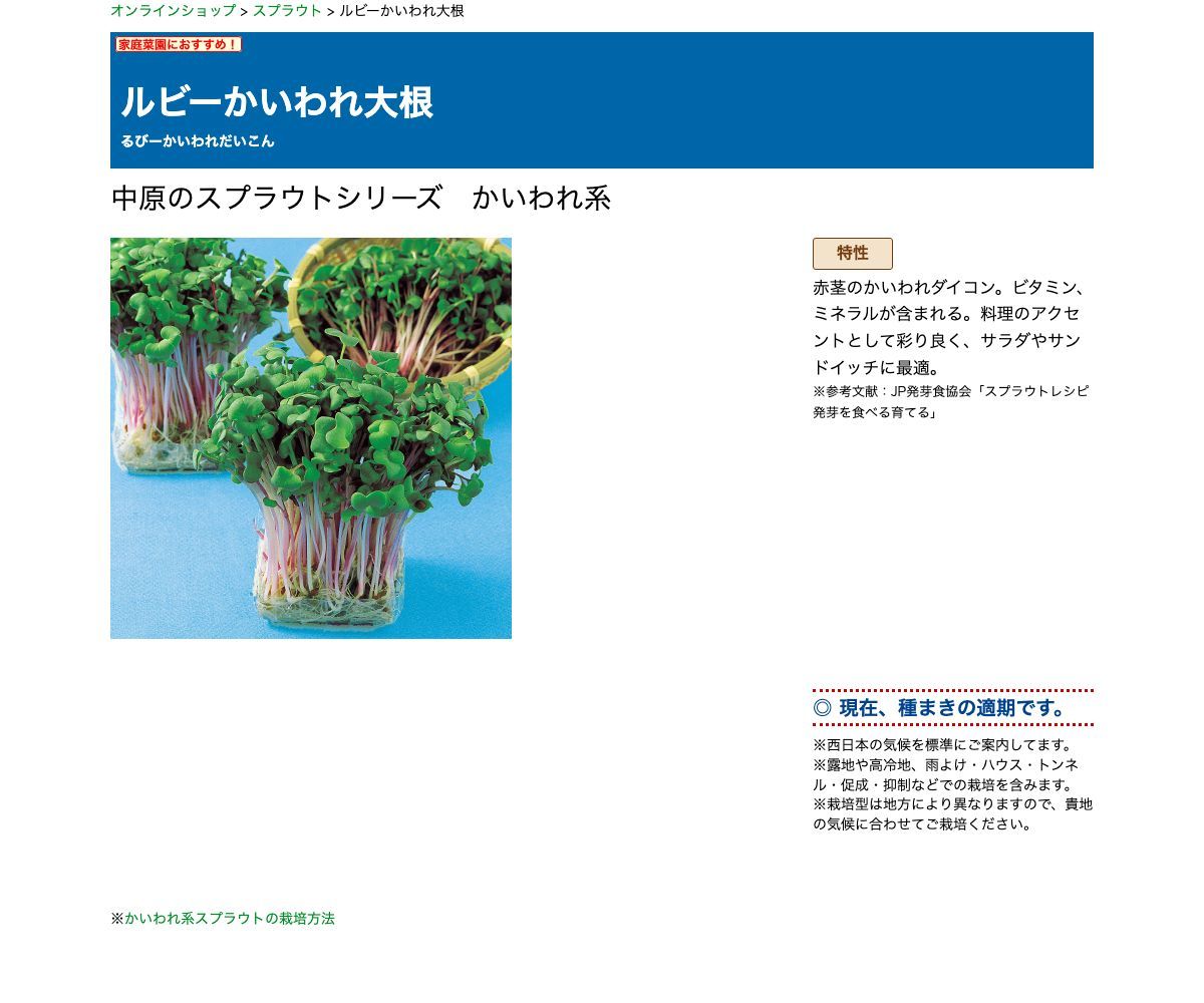 ルビーかいわれ大根