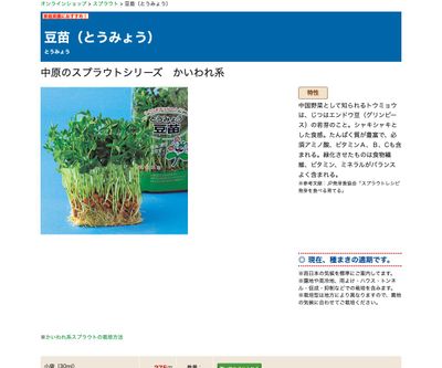 豆苗（とうみょう）の画像