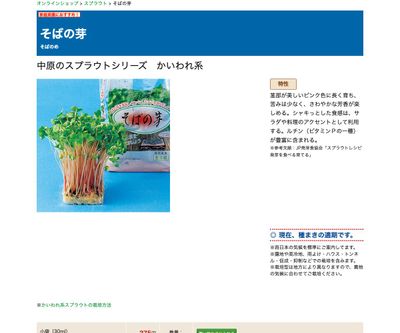 そばの芽の画像