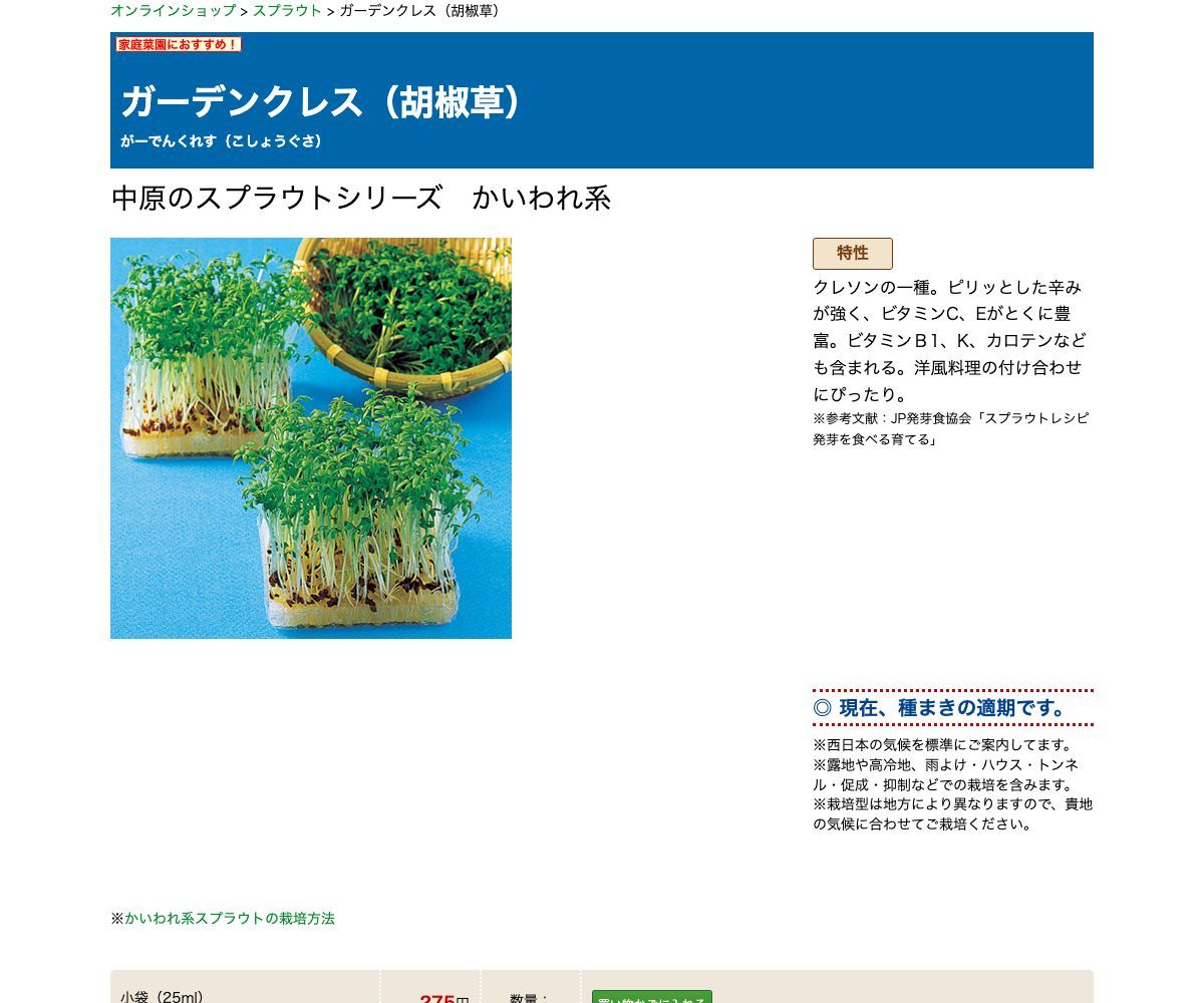 ガーデンクレス（胡椒草）