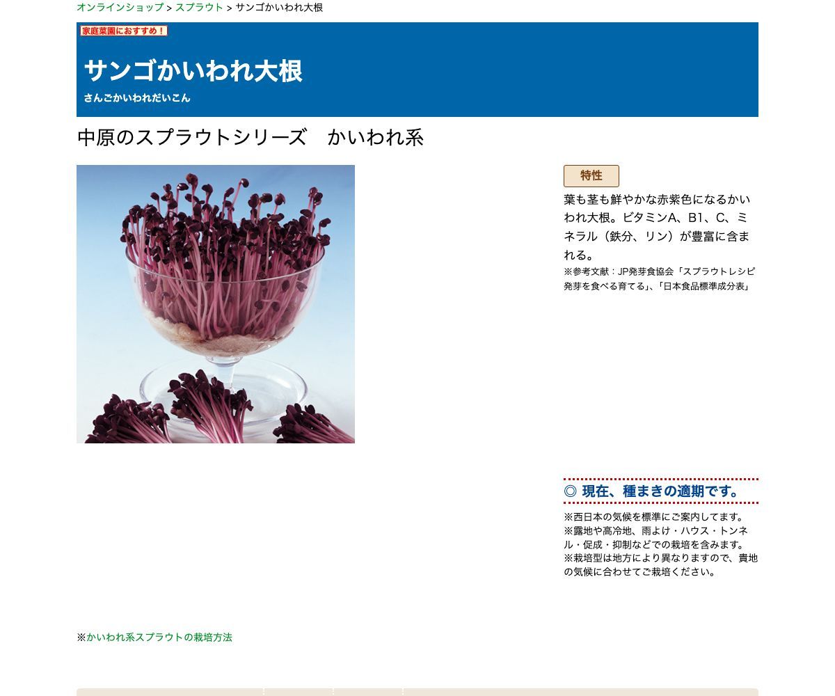 サンゴかいわれ大根