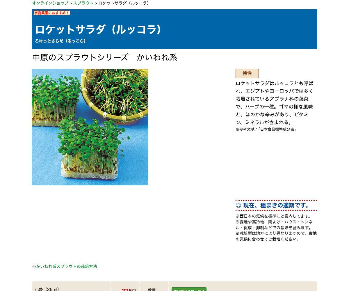 ロケットサラダ（ルッコラ）