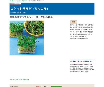 ロケットサラダ（ルッコラ）の画像