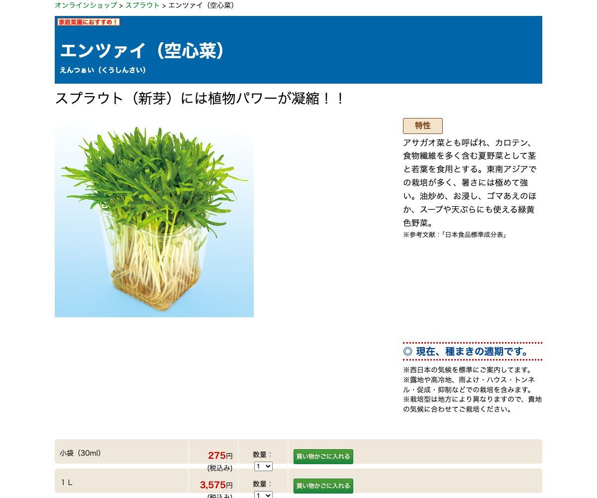 エンツァイ（空心菜）