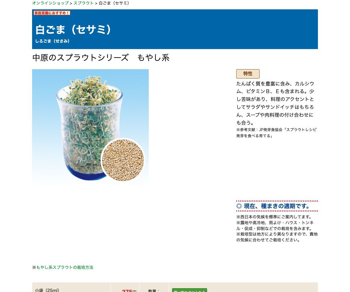 白ごま（セサミ）