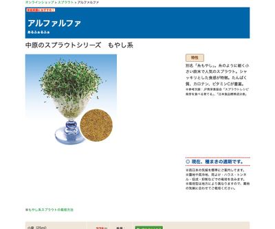 アルファルファの画像