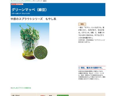 グリーンマッペ（緑豆）の画像