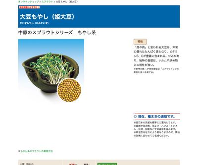 大豆もやし（姫大豆）の画像
