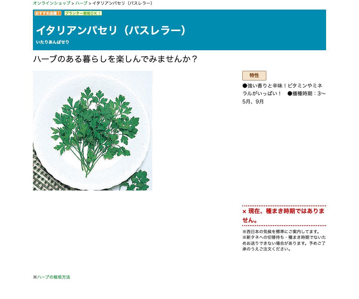イタリアンパセリ（パスレラー）