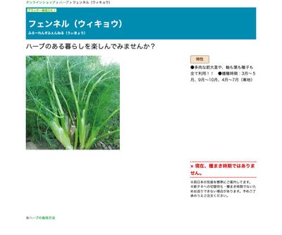 フェンネル（ウィキョウ）の画像