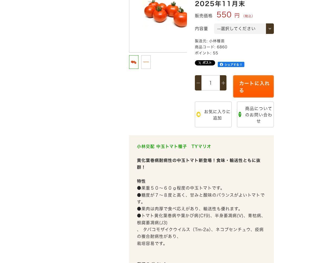 TYマリオ