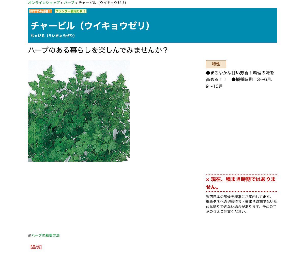 チャービル（ウイキョウゼリ）