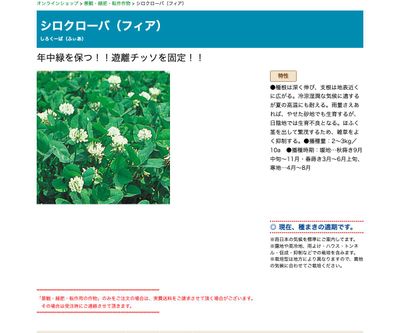 シロクローバ（フィア）の画像