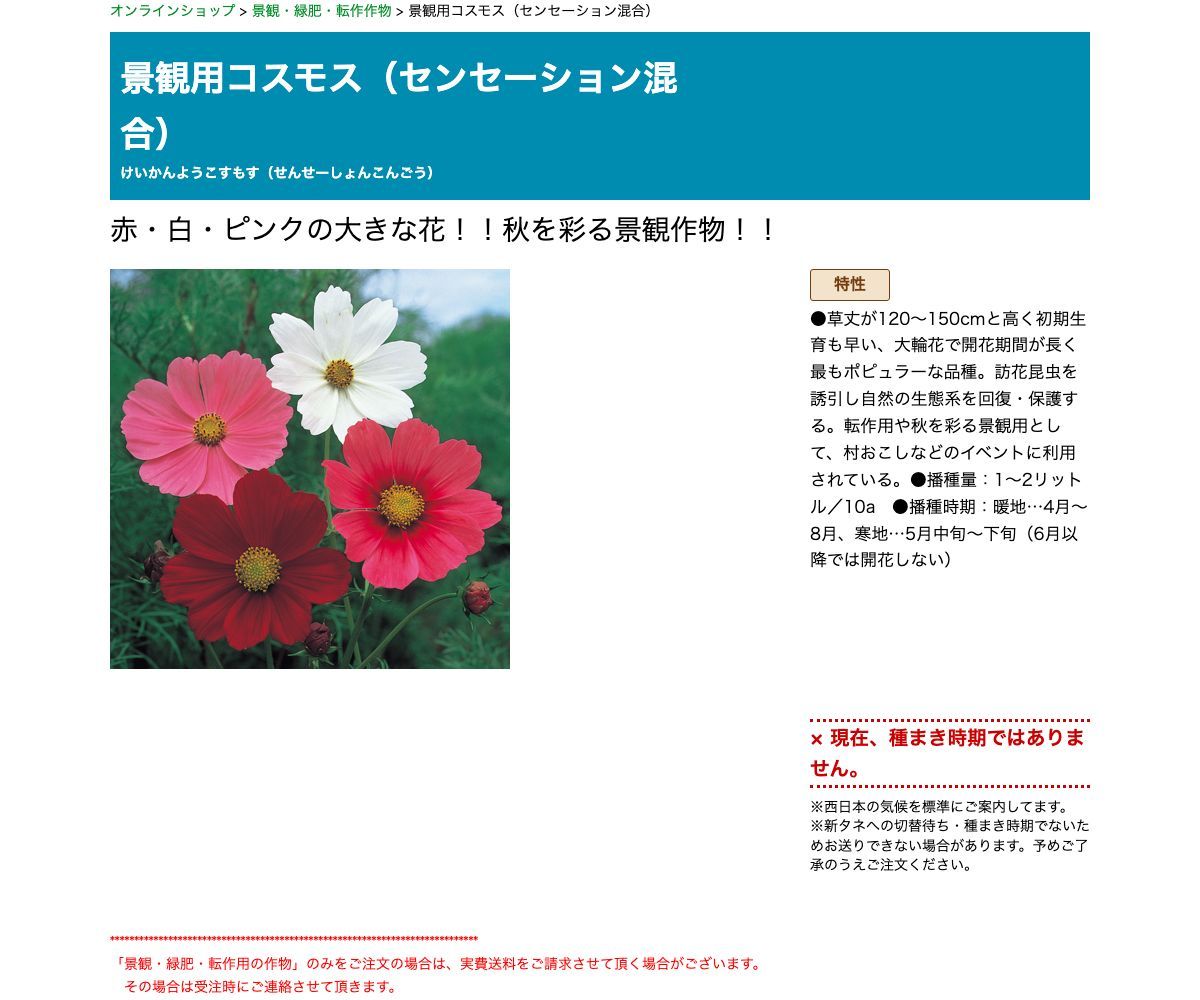 景観用コスモス（センセーション混合）