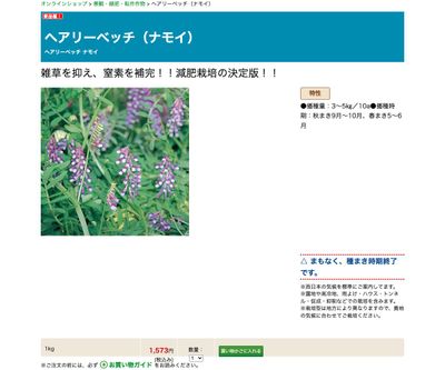 ヘアリーベッチ（ナモイ）の画像