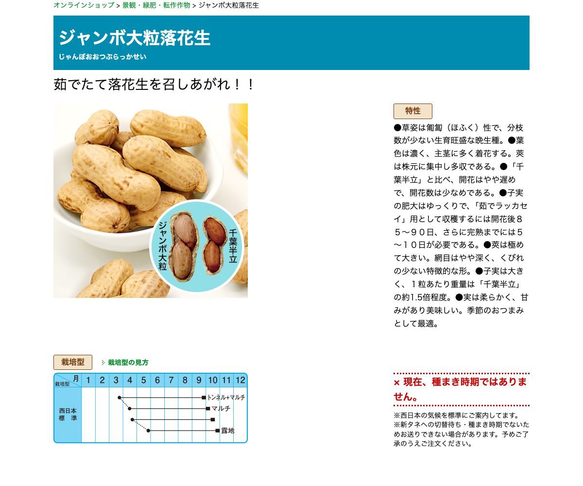 ジャンボ大粒落花生