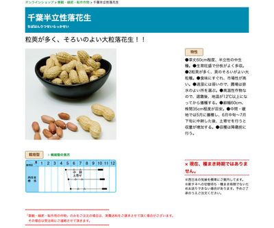 千葉半立性落花生の画像