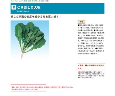 ＣＲおとり大根の画像