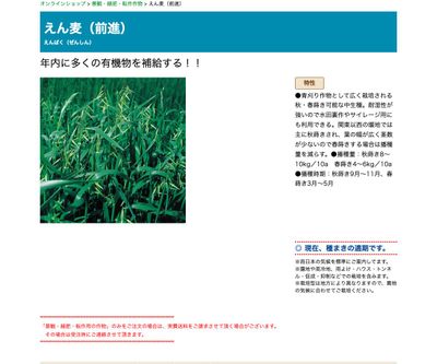 えん麦（前進）の画像