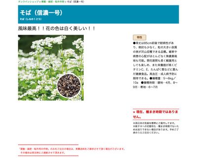 そば（信濃一号）の画像