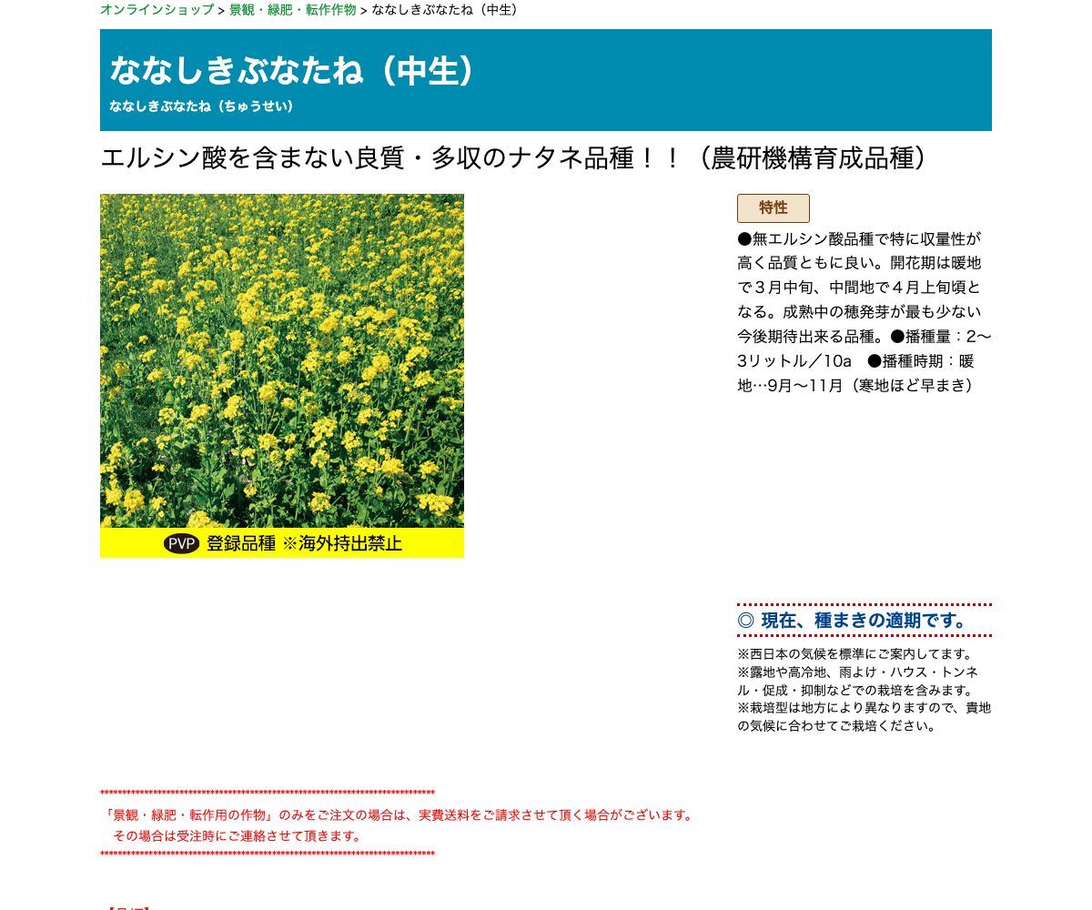 ななしきぶなたね（中生）