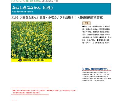 ななしきぶなたね（中生）の画像