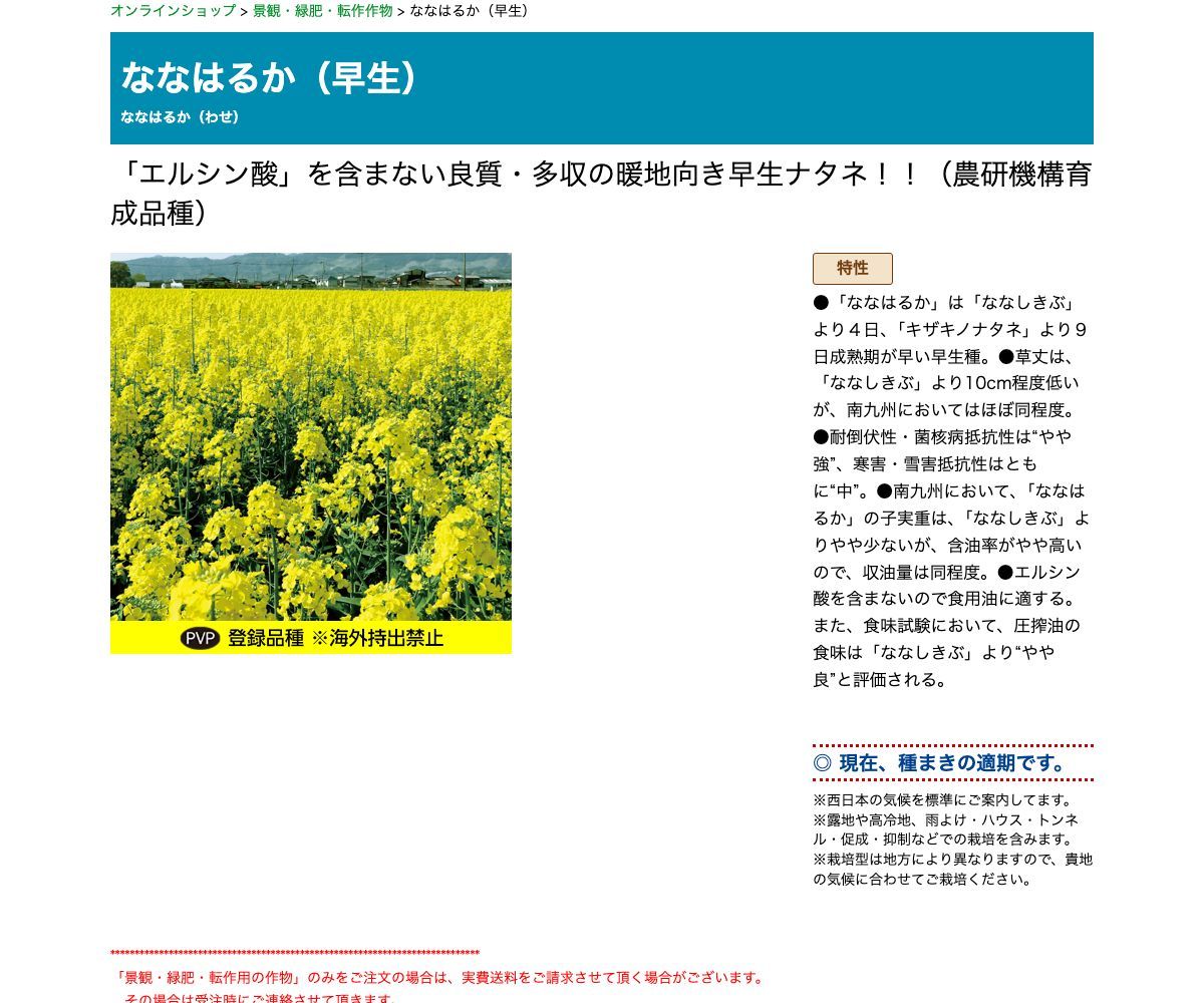 ななはるか（早生）