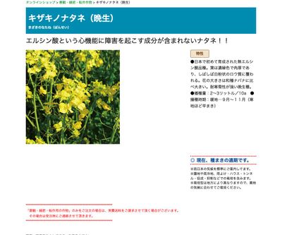 キザキノナタネ（晩生）の画像