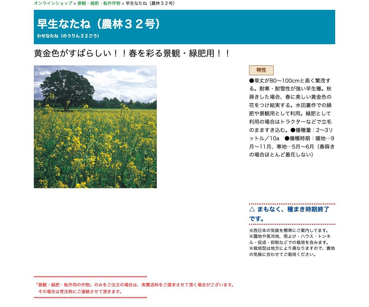 早生なたね（農林３２号）