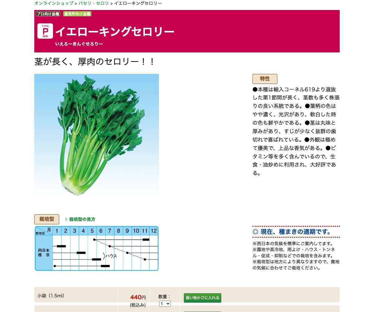 イエローキングセロリー