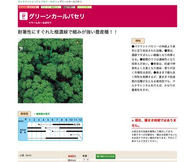グリーンカールパセリの画像