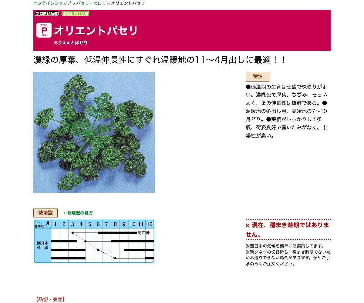 オリエントパセリ