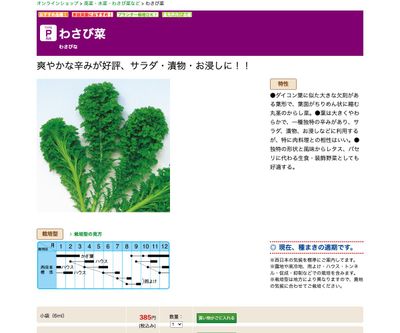 わさび菜の画像