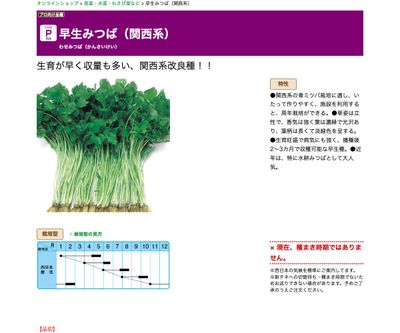 早生みつば（関西系）の画像