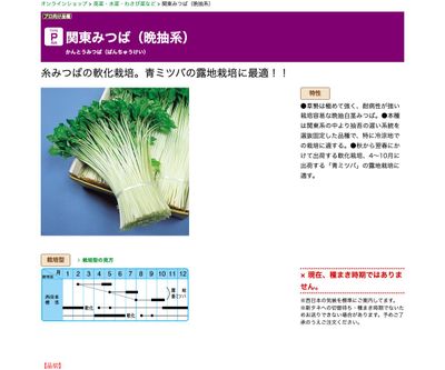 関東みつば（晩抽系）の画像