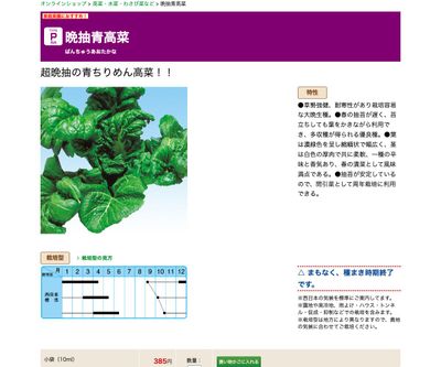 晩抽青高菜の画像