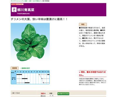 柳川青高菜の画像