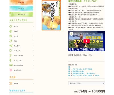 スプリングスターの画像