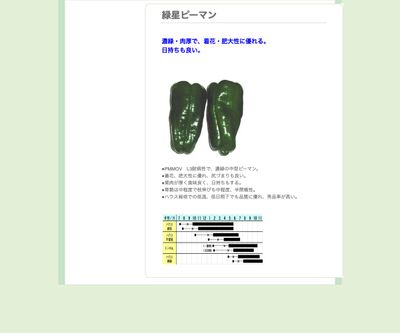 緑星ピーマンの画像