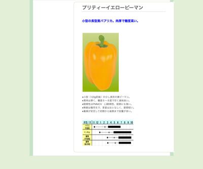 プリティーイエローピーマンの画像