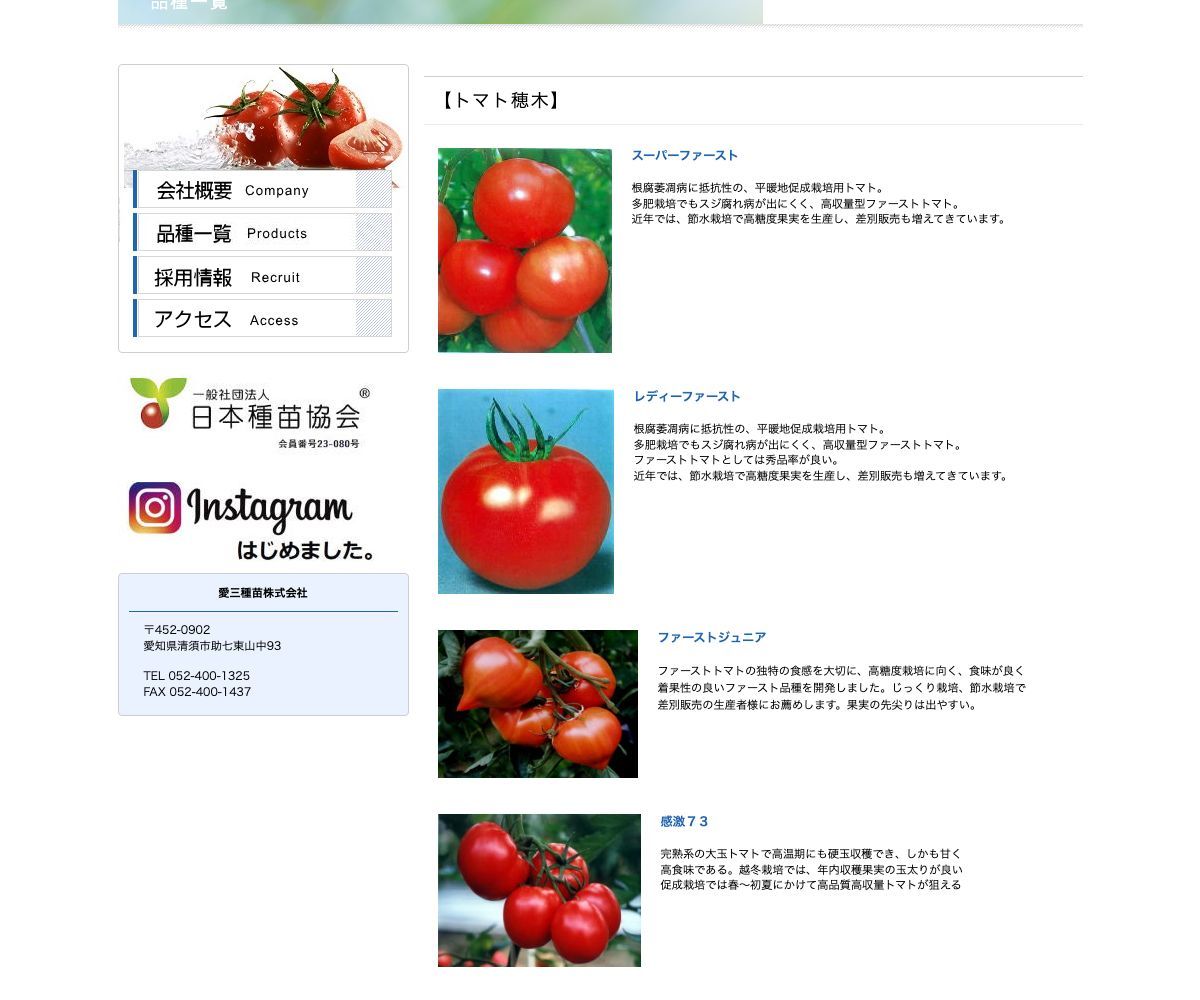 おべんとうトマト(在庫限り)