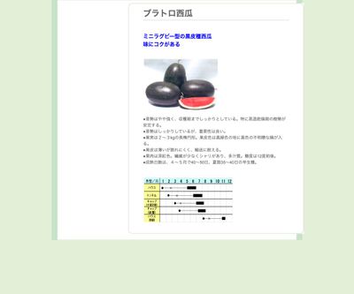 ブラトロ西瓜の画像